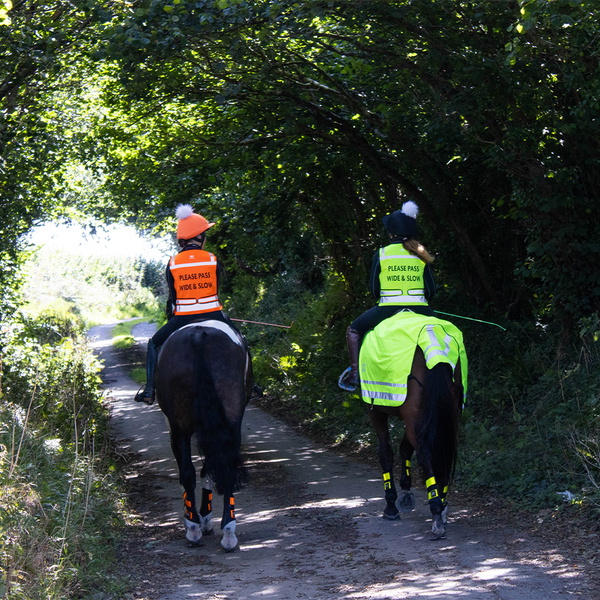 Woof Wear Hoge Zichtbaarheid Rijvest VZ - Hi Viz Orange
